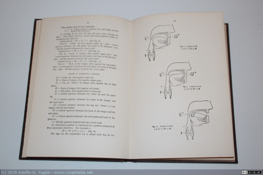 632 - The Mechanism of the Speech (2), 1910