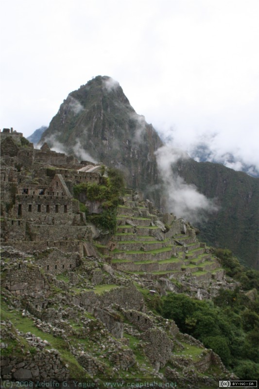 Panorámica (1)