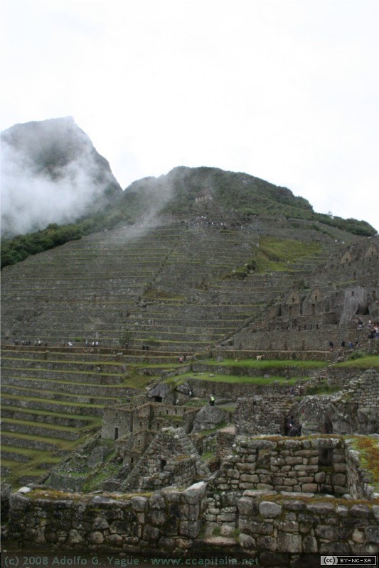 Sector Agrícola (1)