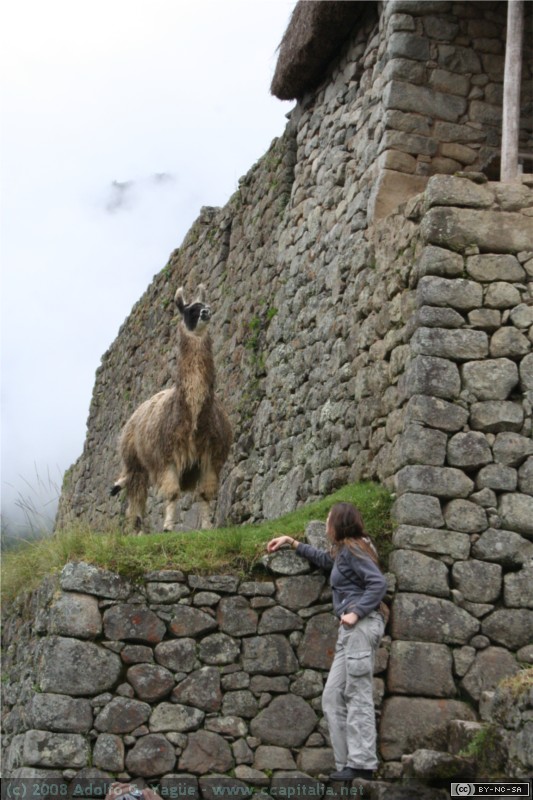Fauna y Flora (2)