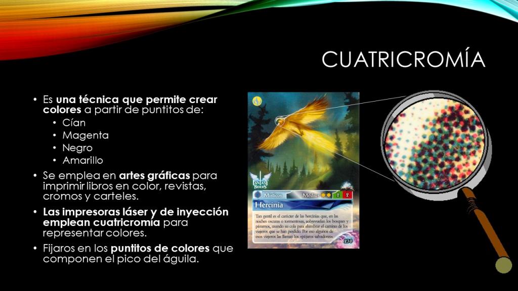5 - Cuatricomía