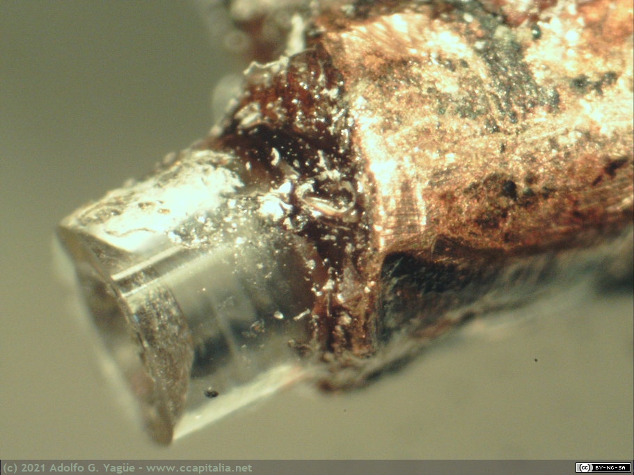1559 - Microfotografía de estilete grabador con punta de zafiro de un fonógrafo, 1898