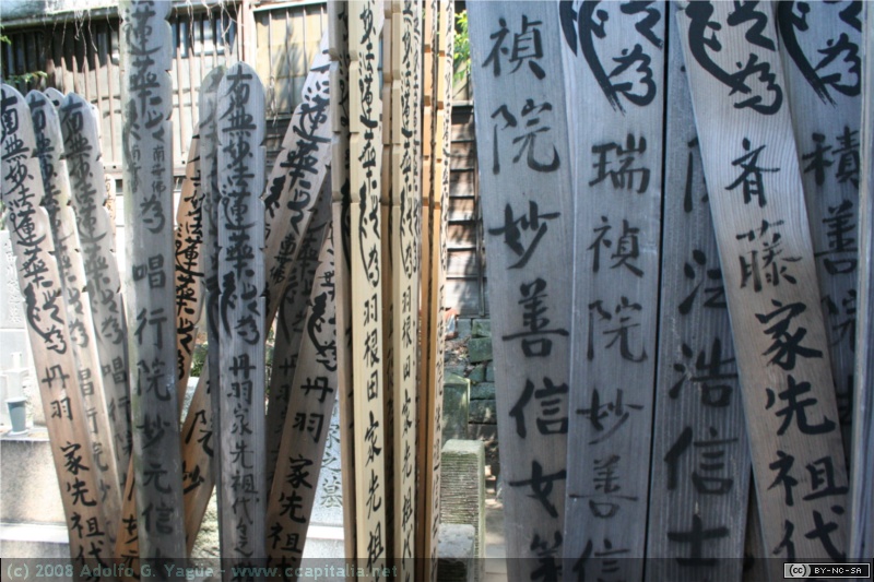 Cementerio de Yamaka (1)