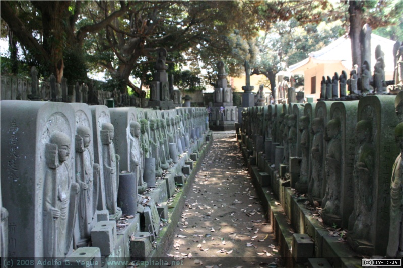 Templo Jomyo-in (1)