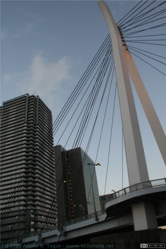 Travesía del río Sumida (3)