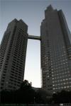 Travesía del río Sumida (4)