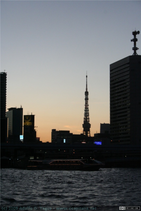 Travesía del río Sumida (7)