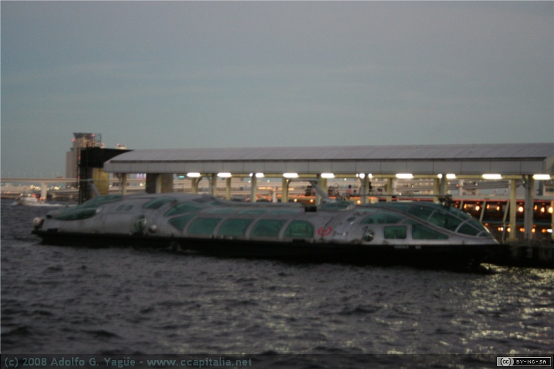 Travesía del río Sumida (8)