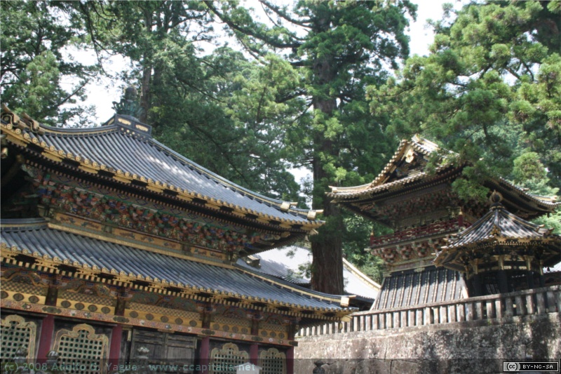 Santuario Tocho-gu (6)