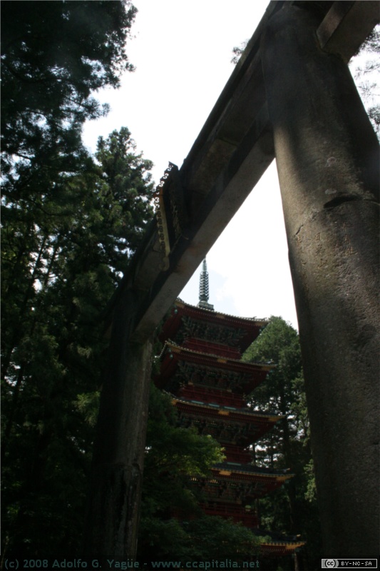 Santuario Tocho-gu (1)