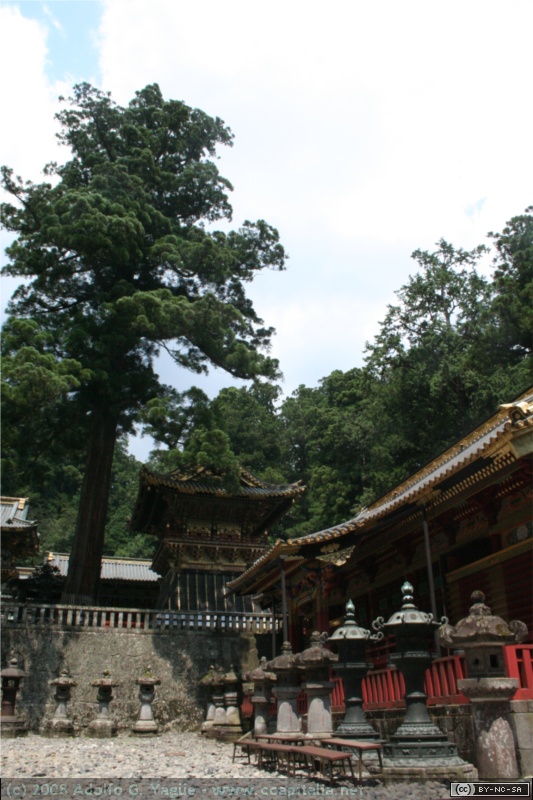 Santuario Tocho-gu (4)