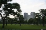 Jardines Palacio Imperial (8)