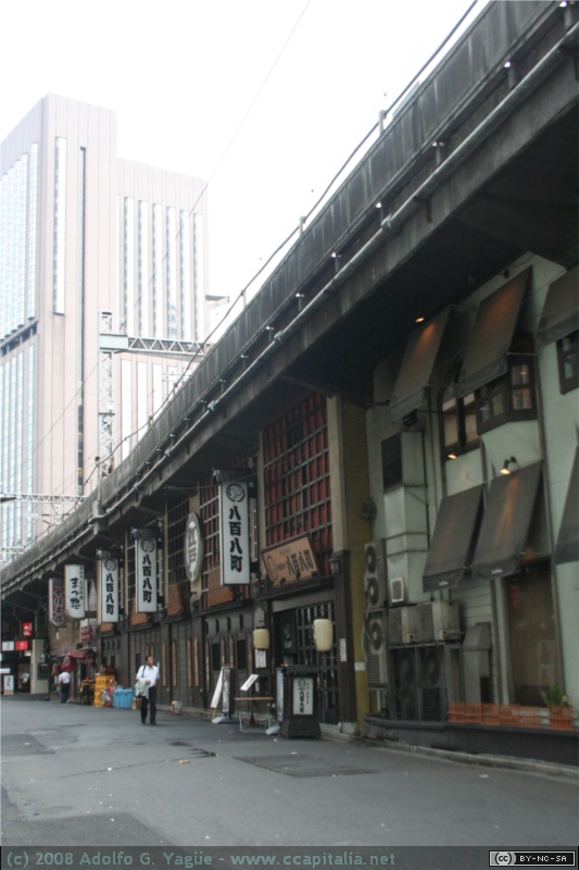Ginza (2)