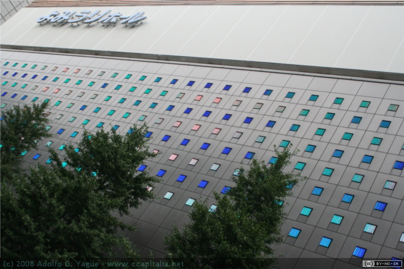 Ginza (6)
