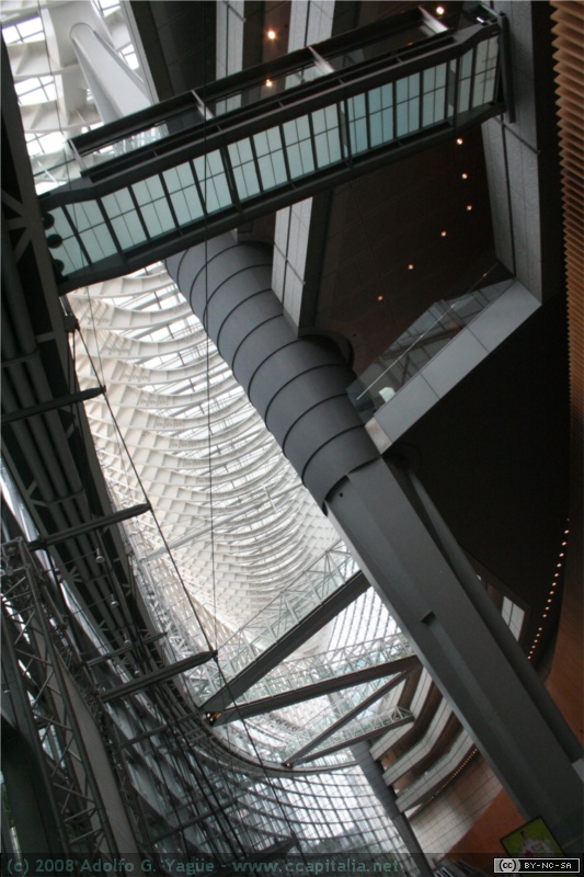 Foro Internacional de Tokio (2)