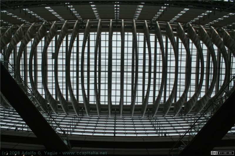 Foro Internacional de Tokio (4)