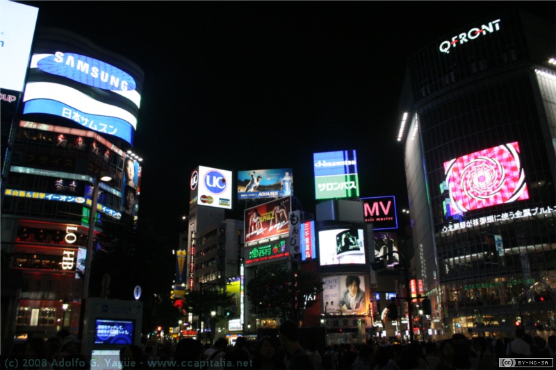 Shibuya (1)