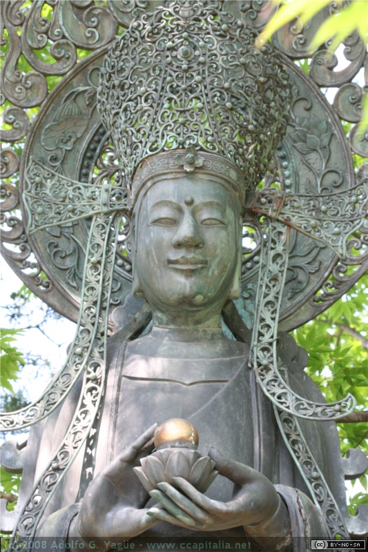 Myoshin-ji (8)