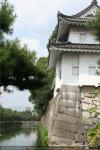 Castillo de Nijo (1)