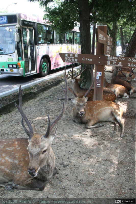 Esperando al autobús