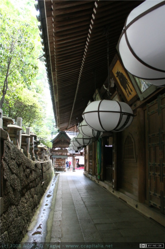 Atrio de Nigatsu-do (9)