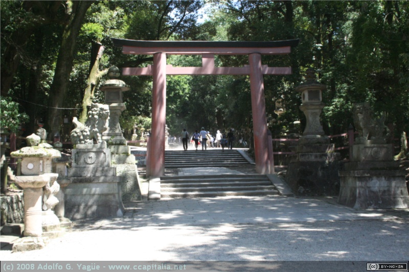 Bosque de Kasugayama (6)