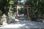 Bosque de Kasugayama (6)