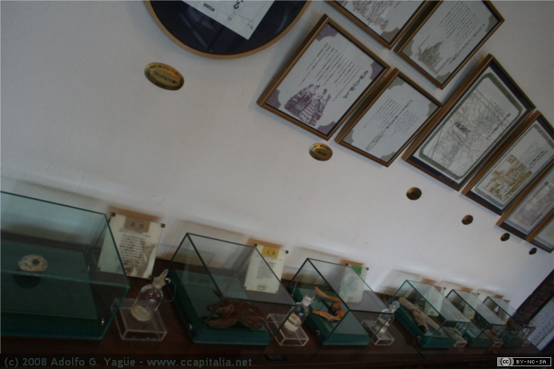 Museo del perfume (3)