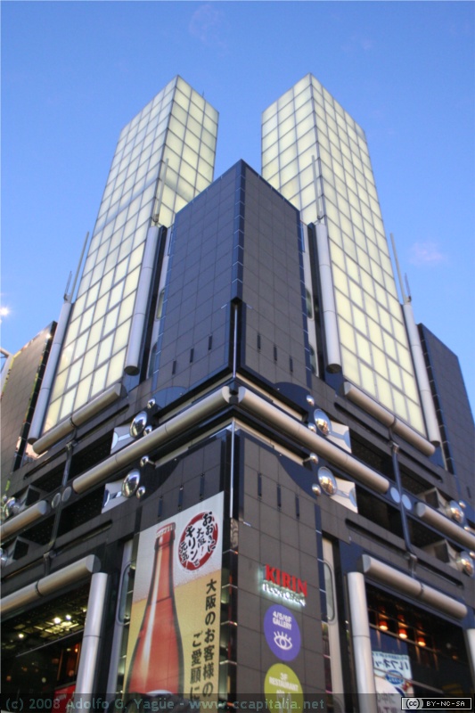 Dotonbori (2)