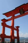 Puerta Torii de Miyajima (4)