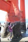 Puerta Torii de Miyajima (3)