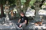 Miyajima, isla sagrada (1)