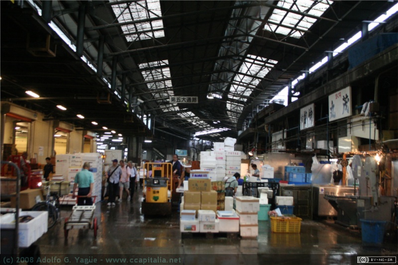 Mercado de pescado de Tokio (1)