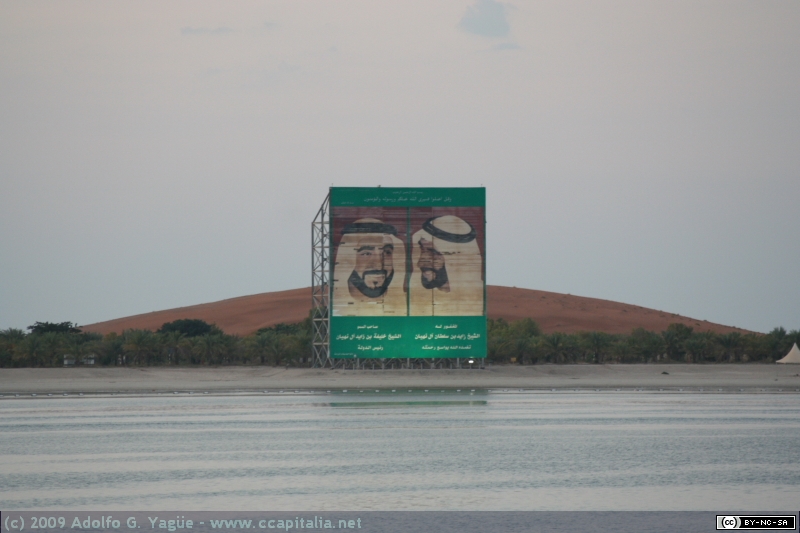 Zayed Bin-Sultan Al Nahyan (4)