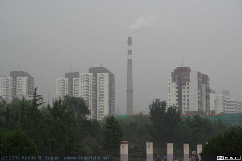 Ciudad (5)