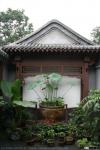 Hutong (25)