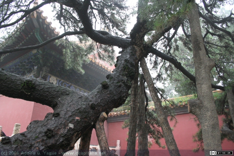 Tumbas Ming (16)