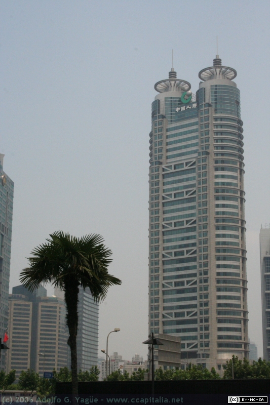 Pudong (10)