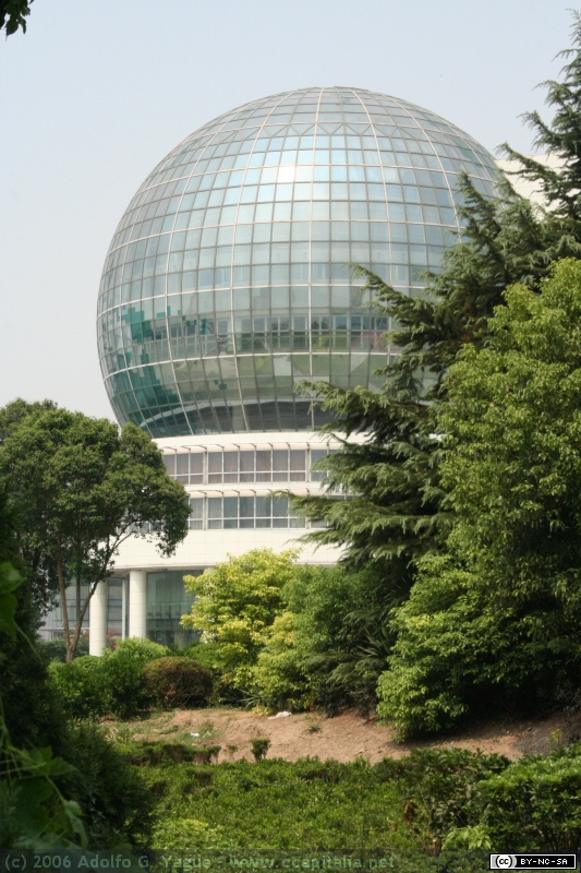 Pudong (14)