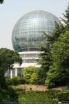 Pudong (14)