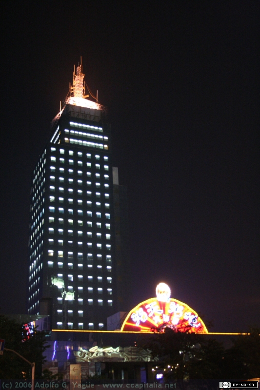 Pudong (20)