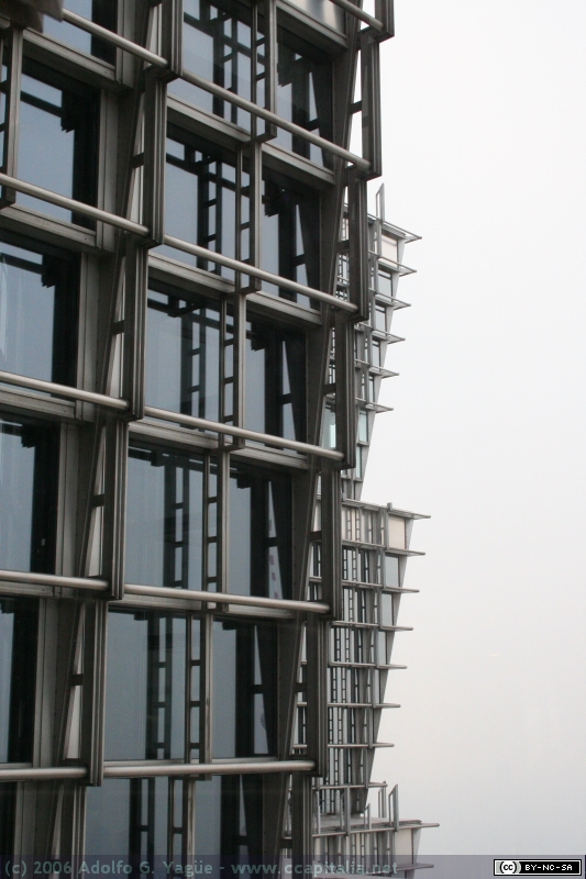 Pudong (9)