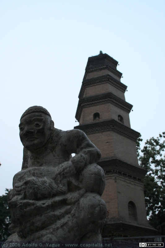 Muralla y alrededores (3)