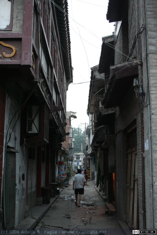 Muralla y alrededores (5)