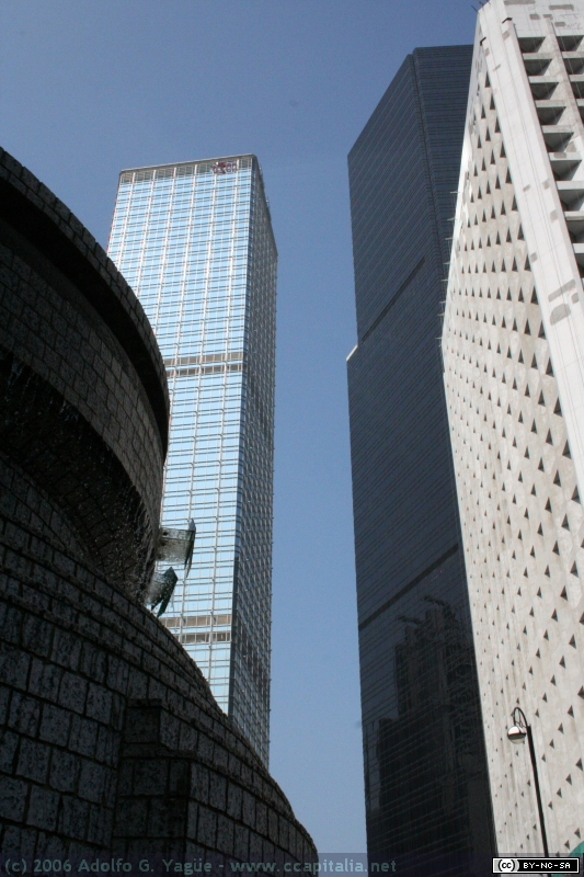 IMG_7470