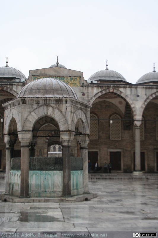 Mezquita Azul (10)