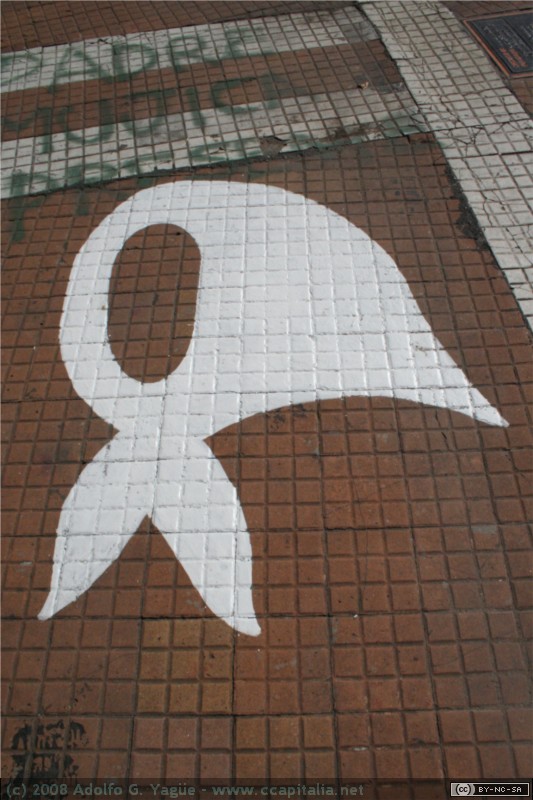 Plaza de Mayo (3)